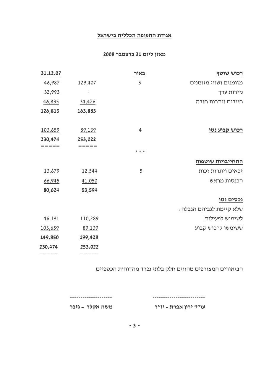 טיוטת מאזן ליום 31.12.08 – עמוד 4