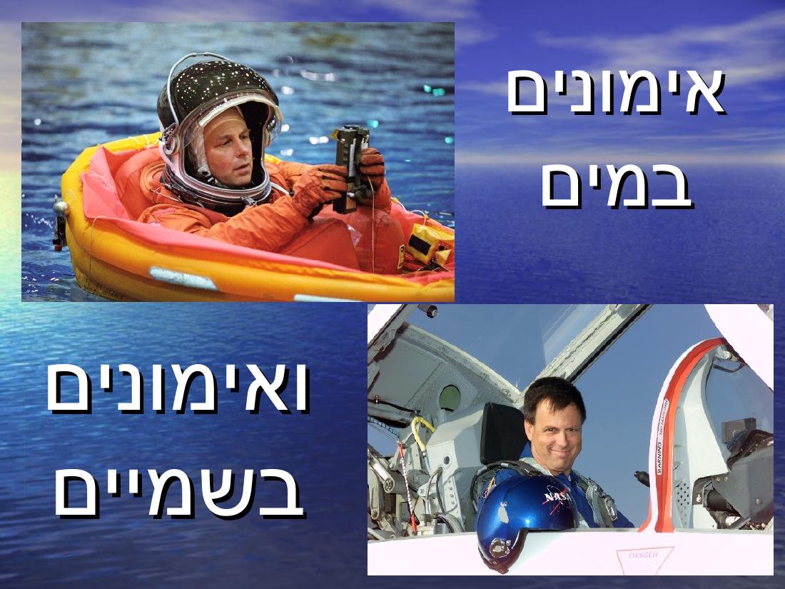 האסטרונאוט הראשון של חה"א – עמוד 6