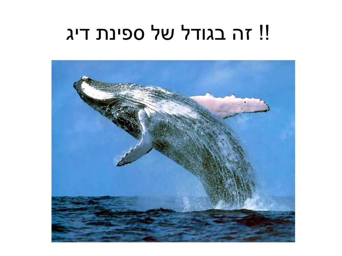 ערב 5 – עמוד 9