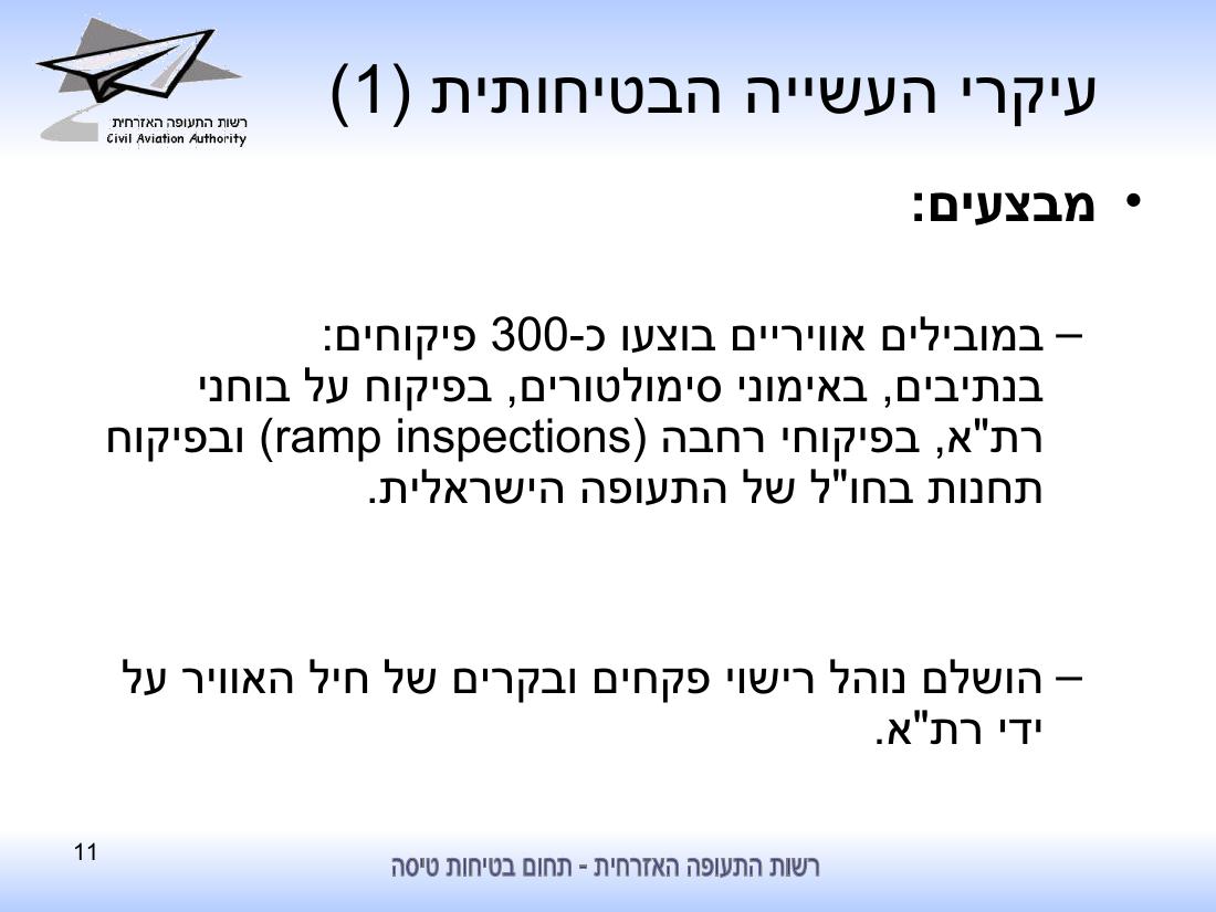 סיכום בטיחות לחציון ראשון 2010 - רת"א – עמוד 11