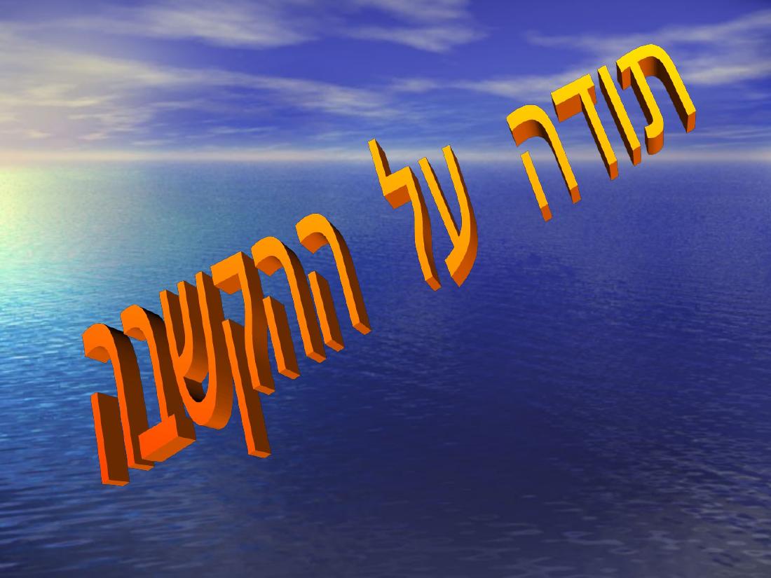 מצגת סקרית תאונות ותקריות חמורות – עמוד 32