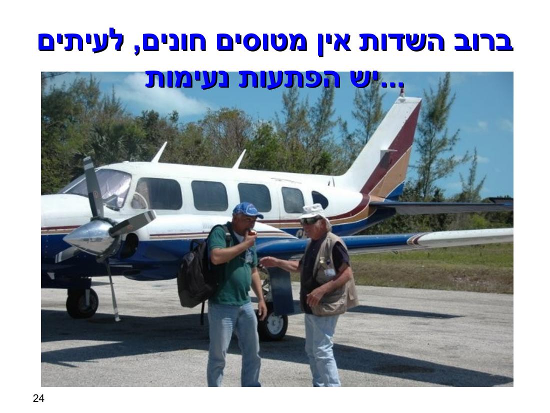 טיסה באיי בהמאס – עמוד 24