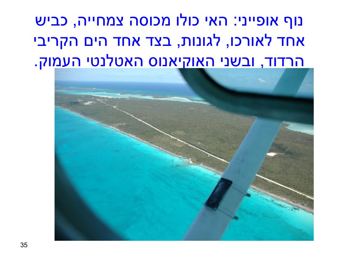 טיסה באיי בהמאס – עמוד 35