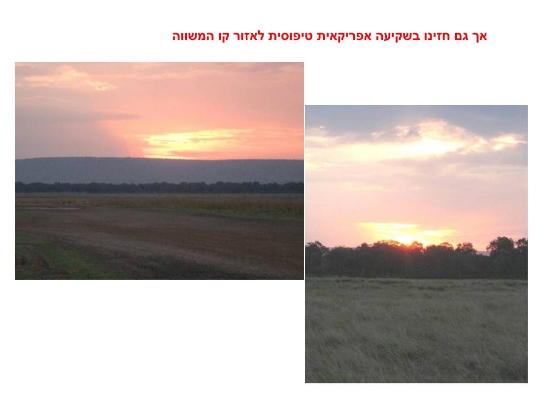מצגת תמונות מהמטס לקניה – עמוד 31