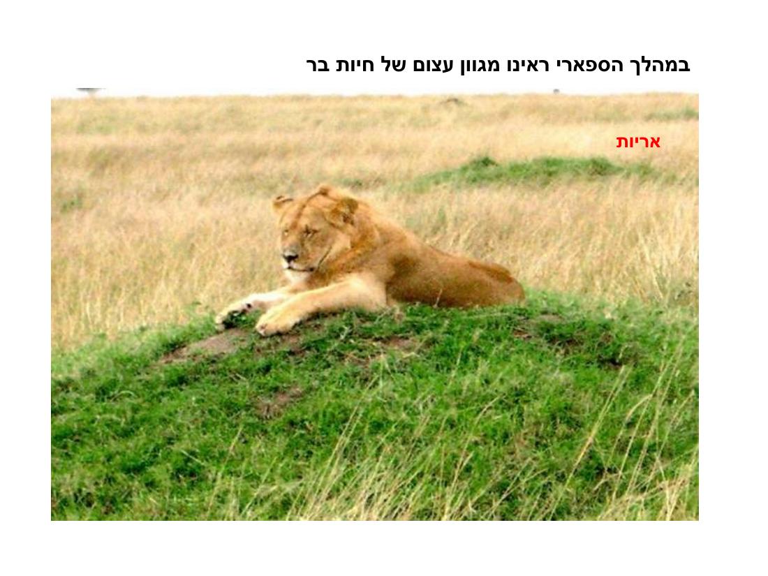 מצגת תמונות מהמטס לקניה – עמוד 44