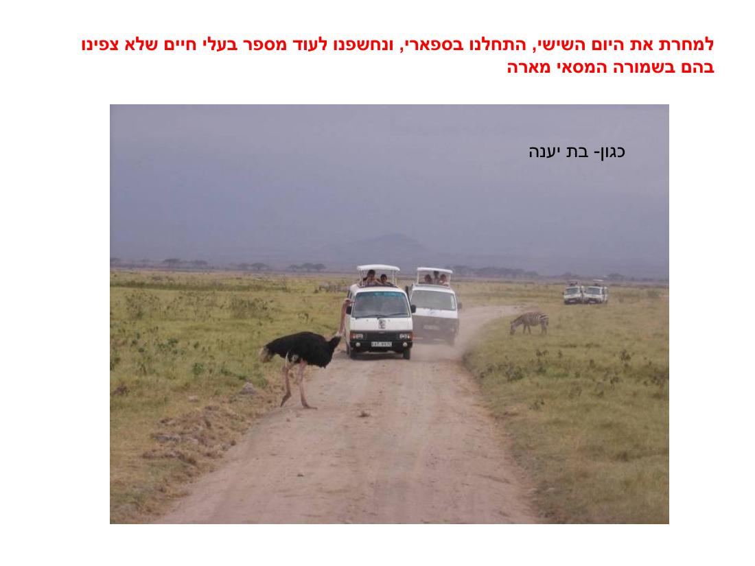 מצגת תמונות מהמטס לקניה – עמוד 79