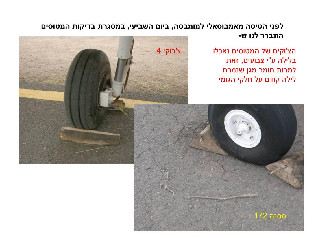 מצגת תמונות מהמטס לקניה – עמוד 86