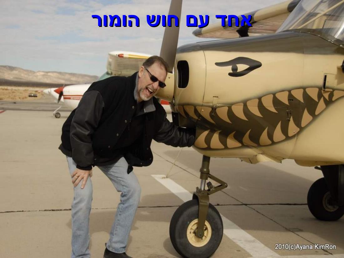 ביקור במדבר מוהווי..."שבת המשוגעת – עמוד 12