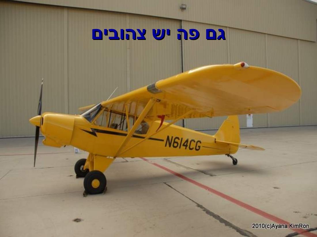 ביקור במדבר מוהווי..."שבת המשוגעת – עמוד 27