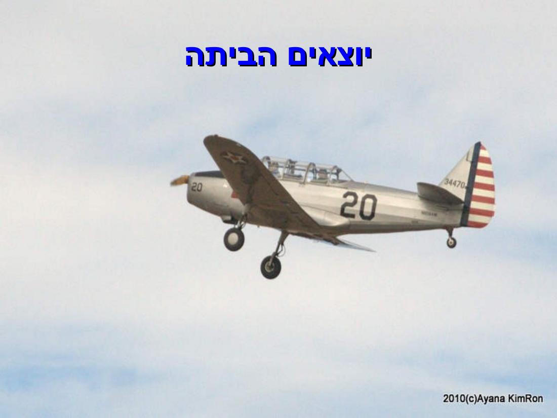 ביקור במדבר מוהווי..."שבת המשוגעת – עמוד 31