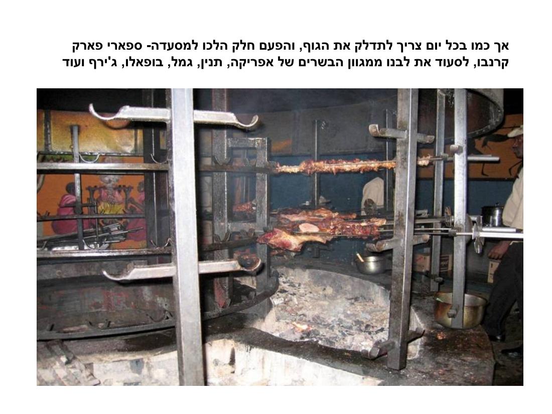 מצגת תמונות מהמטס לקניה – עמוד 16