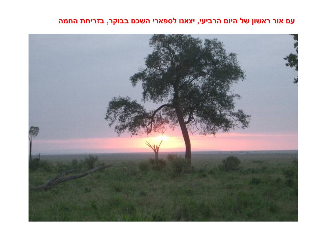 מצגת תמונות מהמטס לקניה – עמוד 39
