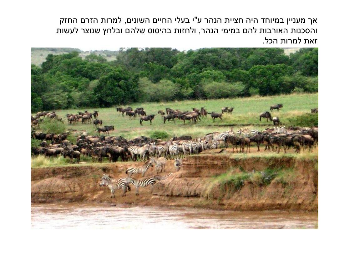 מצגת תמונות מהמטס לקניה – עמוד 56