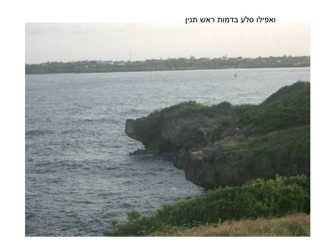 מצגת תמונות מהמטס לקניה – עמוד 103