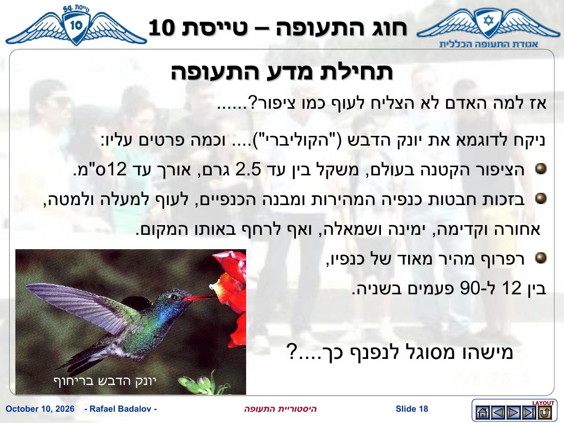 history – עמוד 17