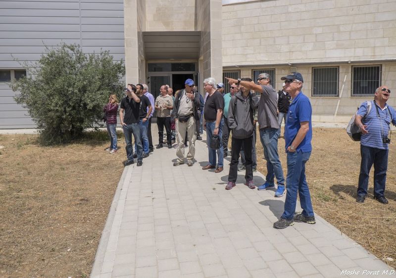 hazerim100416-11