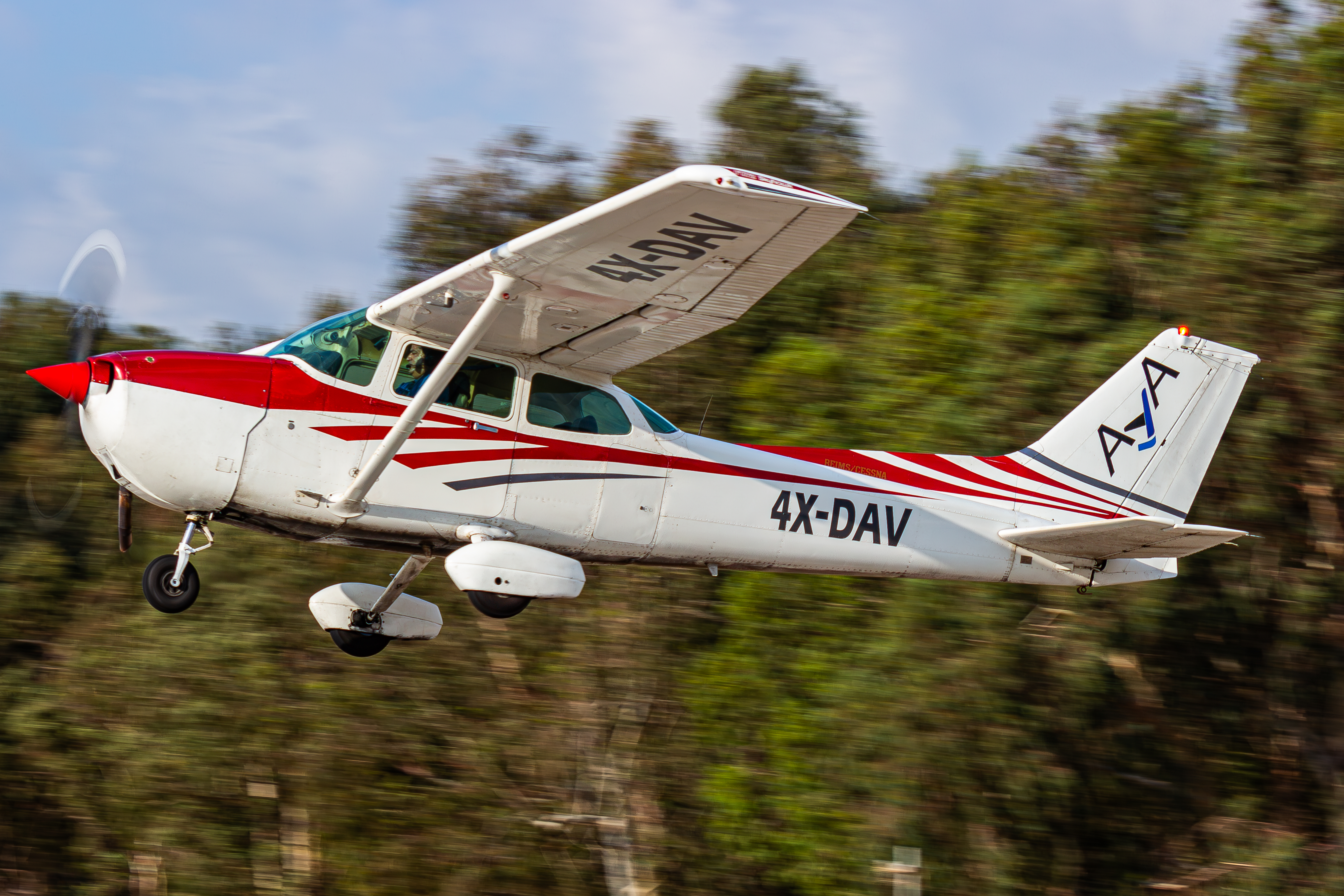 ססנה בהליכה סביב